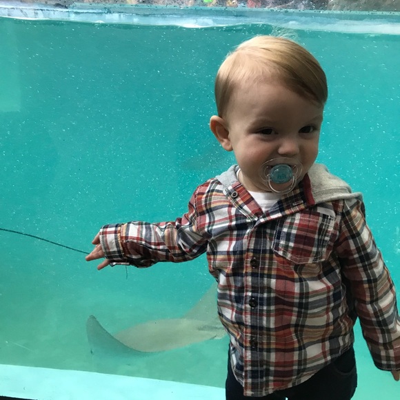 Meet your Posher, Natalie - Picture 3 of 7